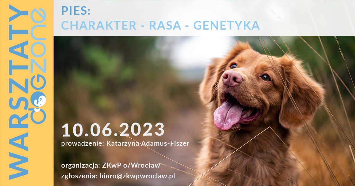 warsztaty-charakter