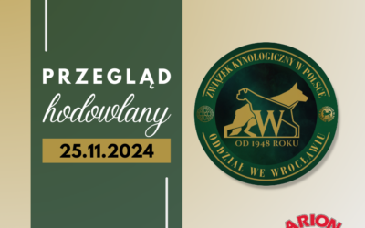 25.11.2024 Przegląd hodowlany dla wszystkich ras